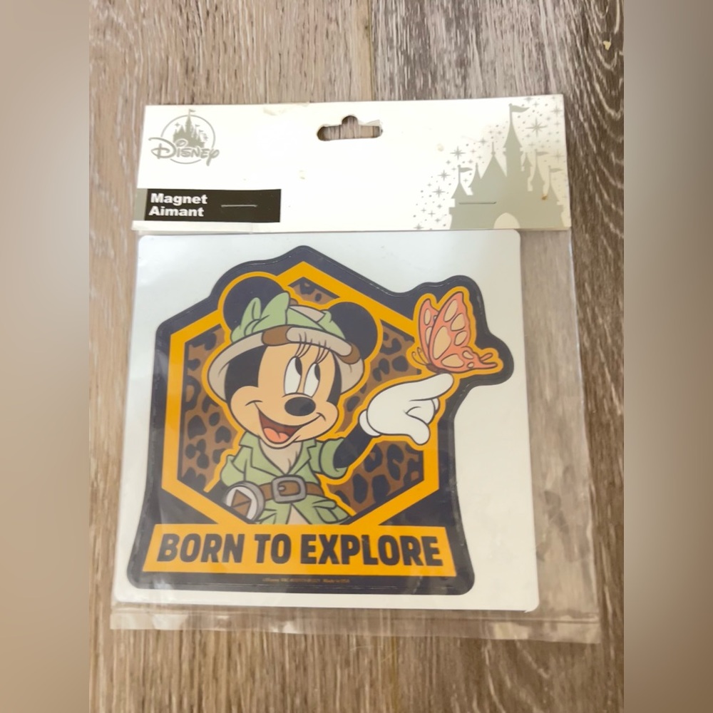 Disney Parks Animal Kingdom Car Magnet